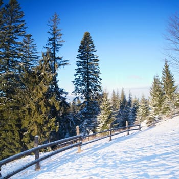 An image of a road in winter mountains and firtrees