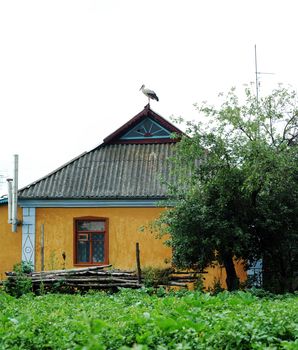 An image of a house with a stork on the roof
