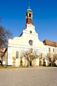 monastery's church of Virgin Mary assumption, Police nad Metuji, Czech Republic