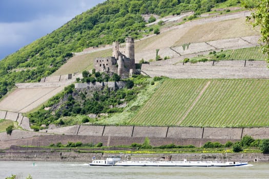 ruins of Ehrenfels Castle, Rhineland-Palatinate, Germany