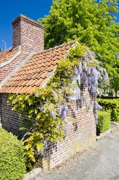 house with flowers, Nord-Pas-de-Calais, France