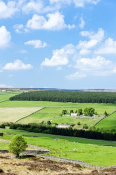 The Pennines, Northumberland, England