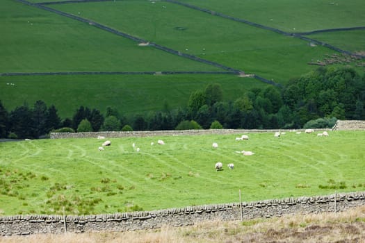 The Pennines, Northumberland, England