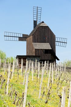 wooden windmill with vineyard, Klobouky u Brna, Czech Republic