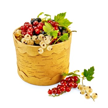 White, red and black currant with green leaves in a birch tueske isolated on white background