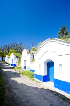 wine cellars, Petrov - Plze, Czech Republic