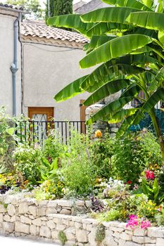 garden in Greoux-les-Bains, Provence, France