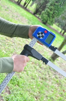 A device for measuring the thickness of a tree trunk in student hands