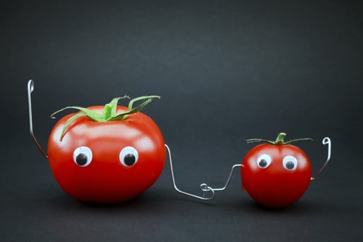 Characters made with two tomatos and wire