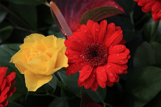 Floral arrangement of a big red gerbera and a yellow rose