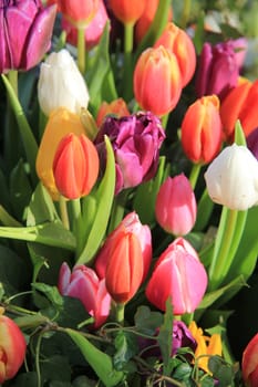 Colorful spring bouquet with tulips in various bright colors