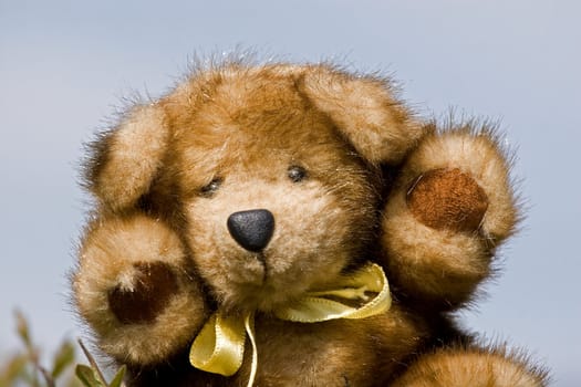 Teddy bear made by natural mink on sky background