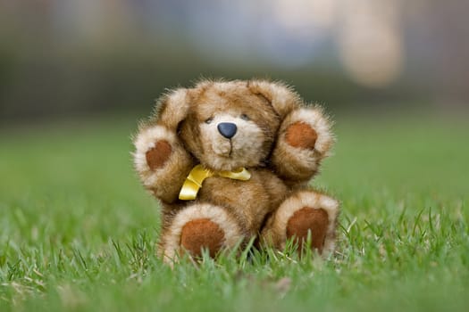 Teddy bear made by natural mink sitting on a grass