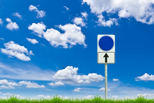 blue blank sign on fresh spring green grass against blue sky