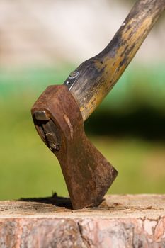 Old Axe into the tree stump