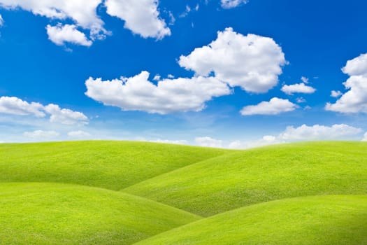 meadow against blue sky