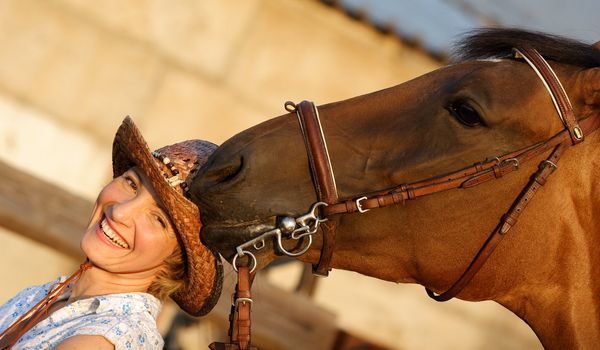 Brown horse try to eat womans hat