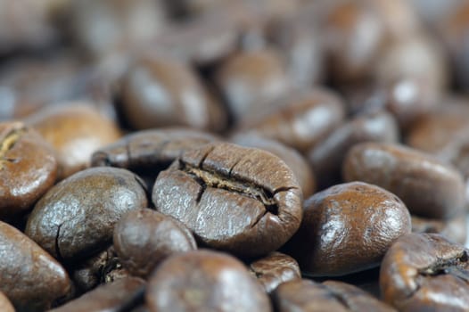Selective focusing of coffee beans
