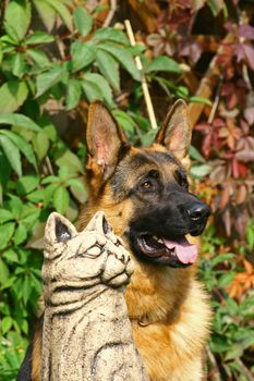 German shepherd near to a statue of a cat