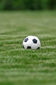 Soccer ball on the grass