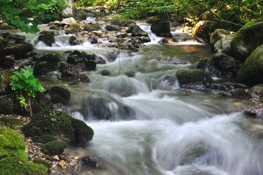 Wild stream between stones in green forest landscape