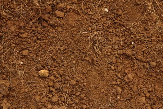 Red soil, with stones.