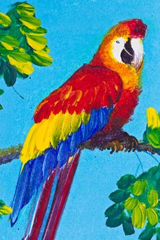 poster color drawing red macaw