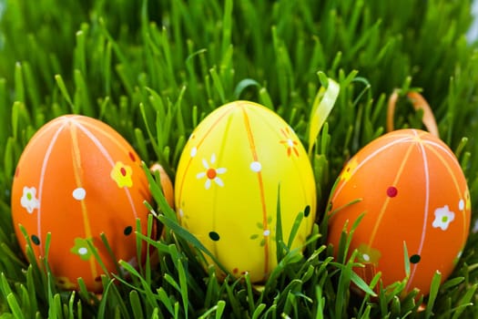 Colored Easter eggs are in green grass