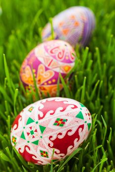 Colored Easter eggs are in green grass. Vertical view