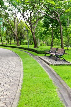 chair in the park