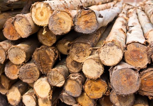 stack of tree stump for background