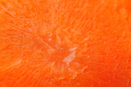 Carrot cut shows of pattern detail.