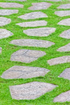 stone path on green grass