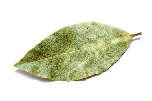 An image of a green leaf on white background