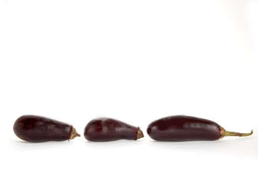 An image of row of eggplants