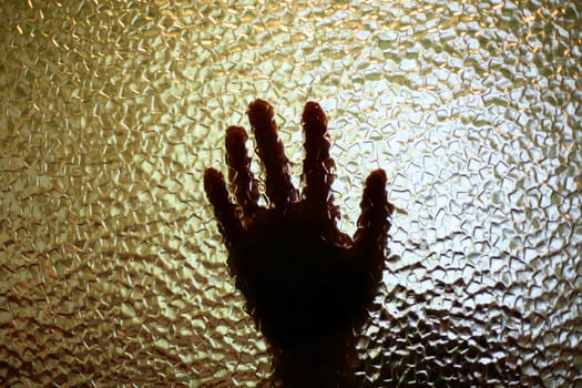 An image of a silhouette of a small palm on the glass