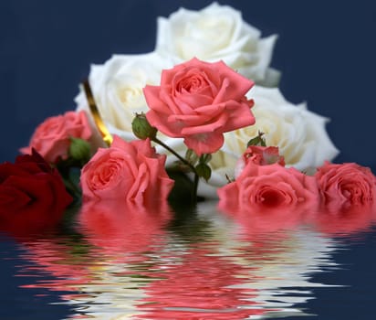 An image of pink and white roses in water