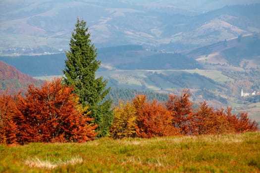 An image of multicoloured autumn in the mountains