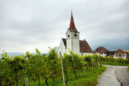 An image of vine and a chapel