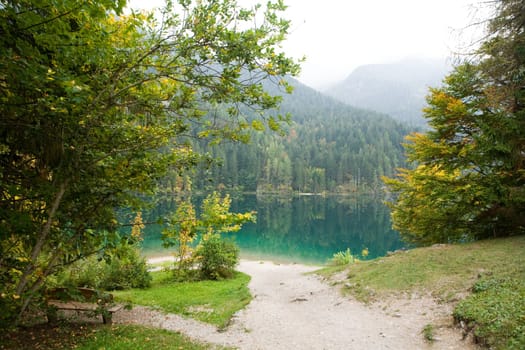 An image of a beautiful lake in the forest