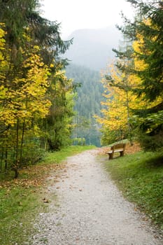 An image of a beautiful autumn park