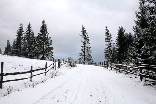 Stock photo: an image of a road in a winter forest