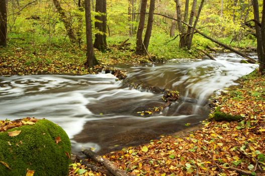 An image of river in autumn forest