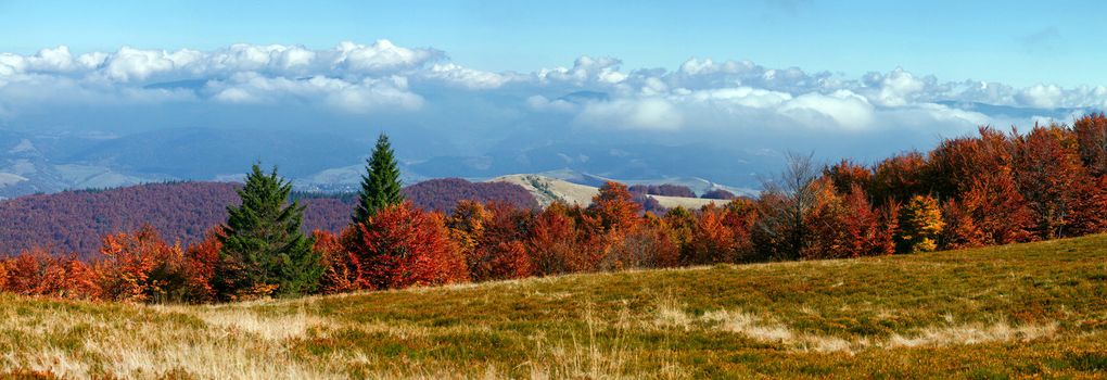 An image of autumn mountains and trees