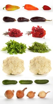An image of various isolated vegetables