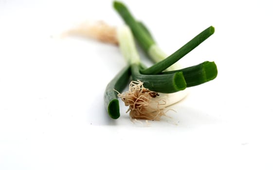 fresh onion