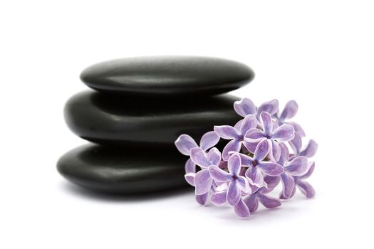 lilac flowers and massage stones