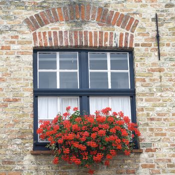 Brugge, Belgium. Old building with red flowers in windows 