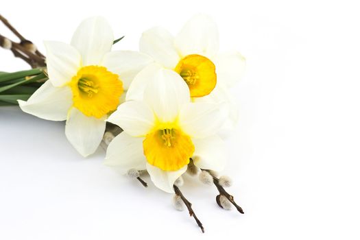 easter decoration - narcissus flowers