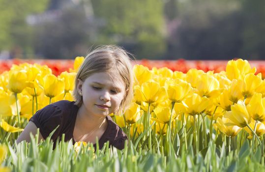 little girl in tulips field 